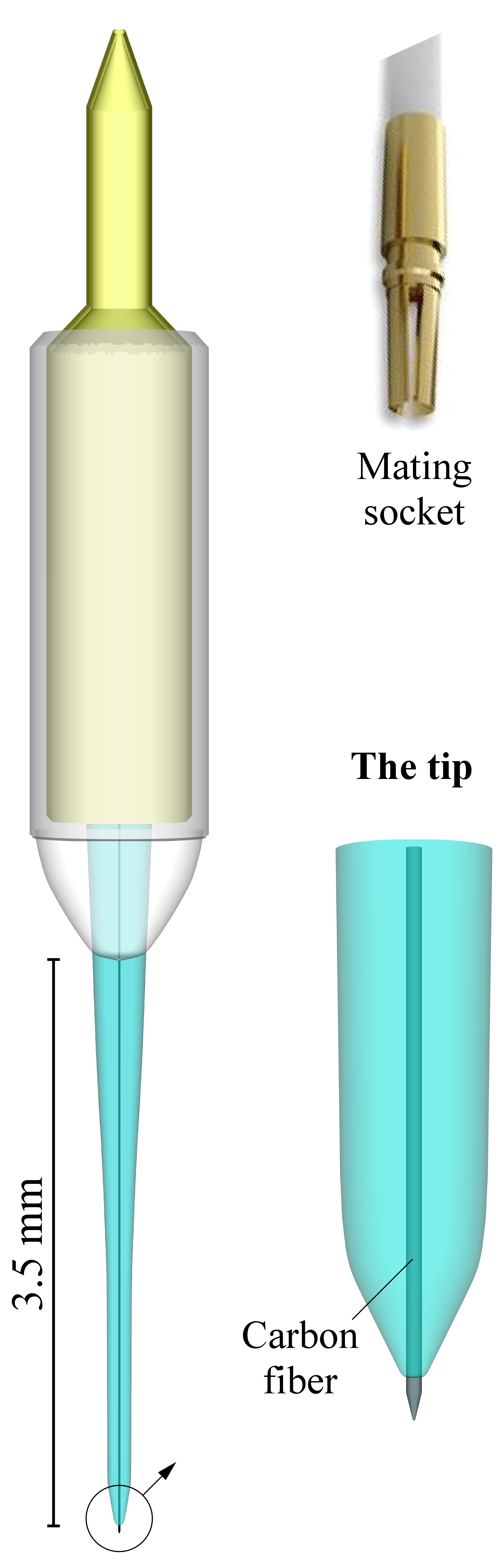 Implantable Cf Microelectrode Kation Scientific 1030